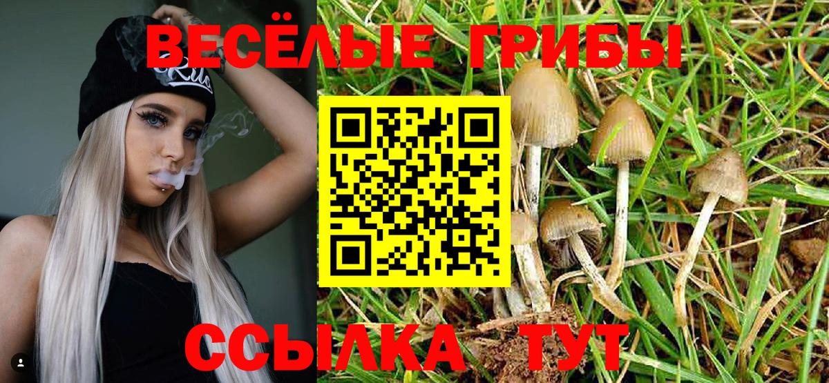 Галлюциногенные грибы мухоморы  Галлюциногенные грибы Psilocybe  Вход с VPN  Тихорецк 